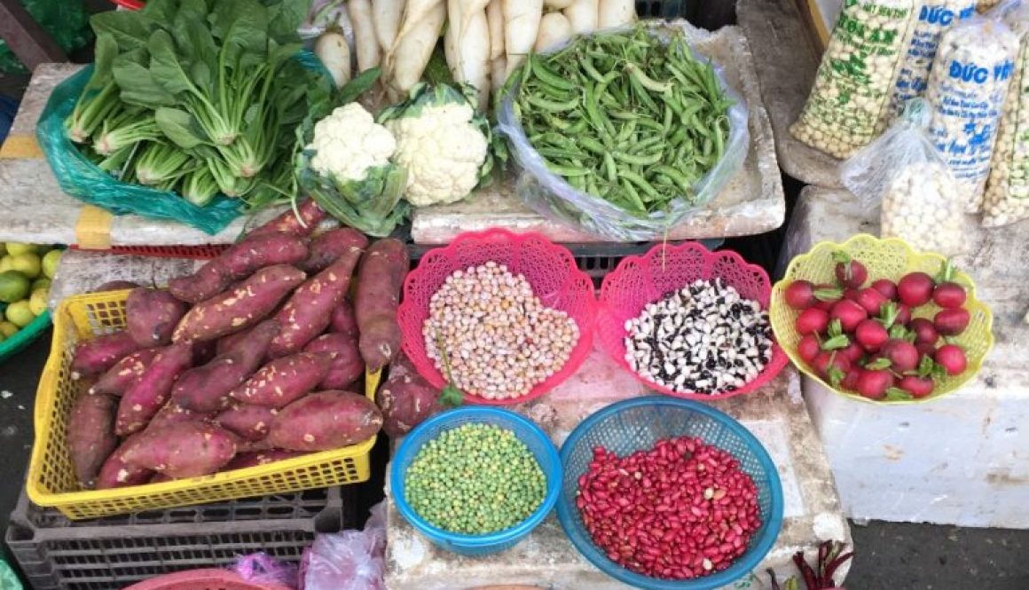 Hoi An – Farmarbeit und Kochkurs