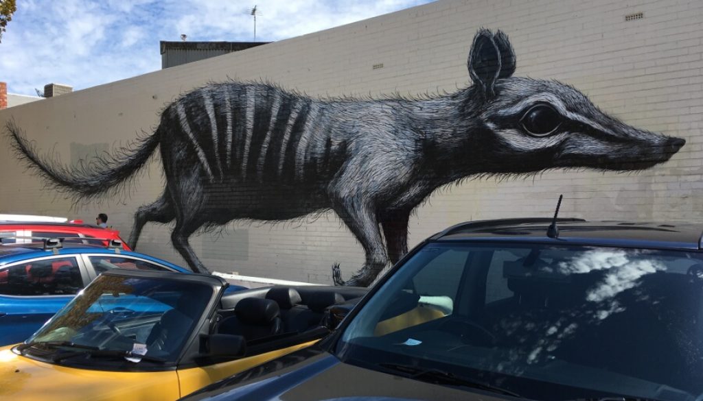 Foto 08.04.18, 12 16 21 Perth – Ein Sonntag in ‘Freo’