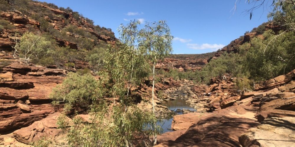 Foto 23.04.18, 06 17 35 Roadtrip V – Kalbarri.. again!